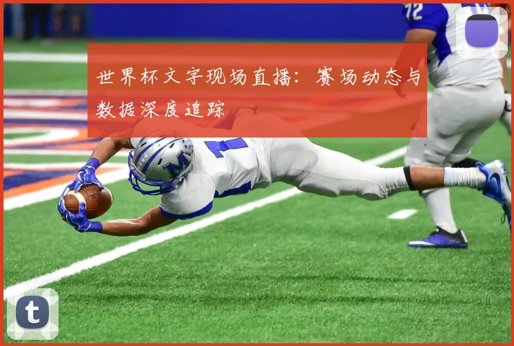 世界杯文字现场直播：赛场动态与数据深度追踪