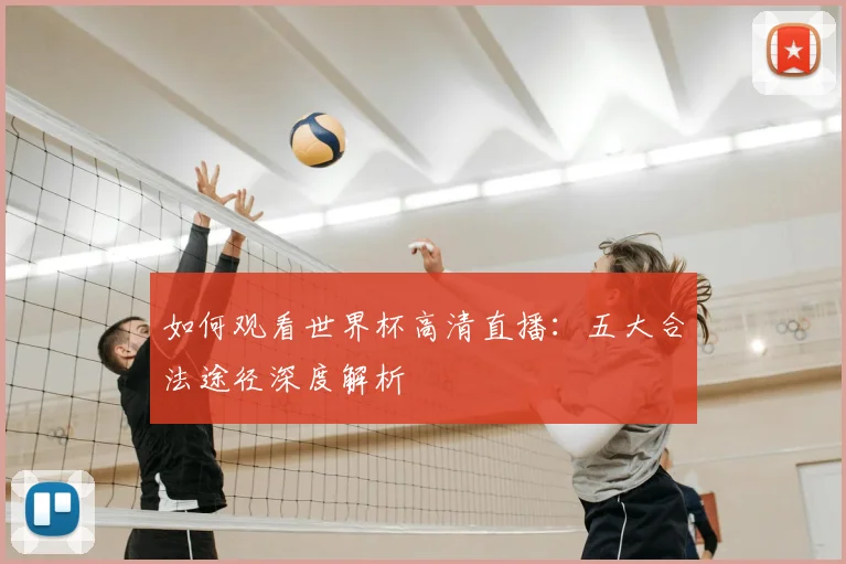 如何观看世界杯高清直播：五大合法途径深度解析