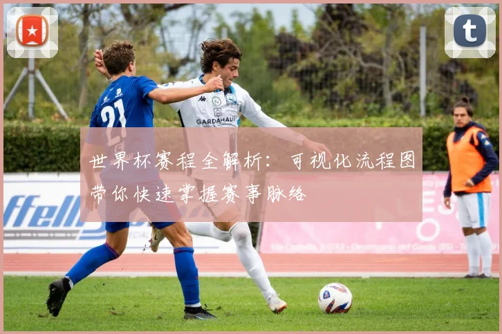 世界杯赛程全解析:可视化流程图带你快速掌握赛事脉络