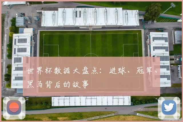 世界杯数据大盘点：进球、冠军、黑马背后的故事