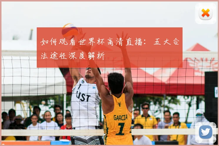 如何观看世界杯高清直播:五大合法途径深度解析