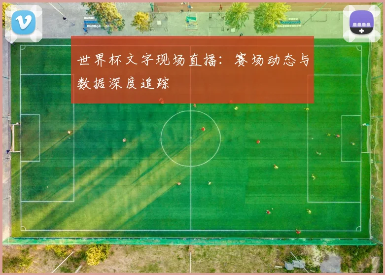 世界杯文字现场直播：赛场动态与数据深度追踪