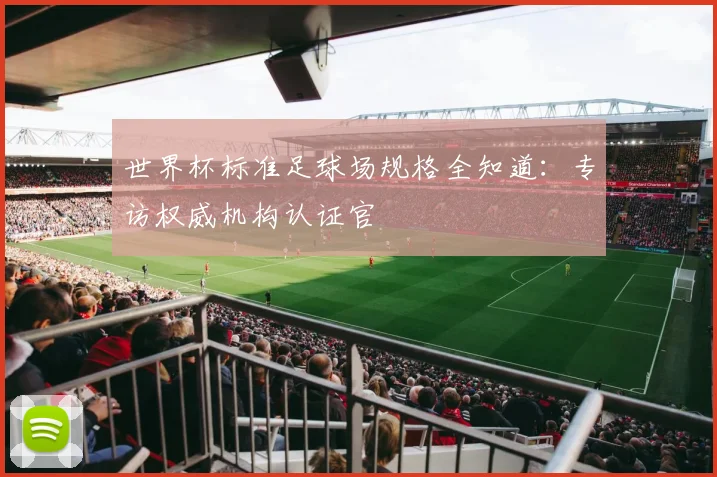 世界杯标准足球场规格全知道：专访权威机构认证官