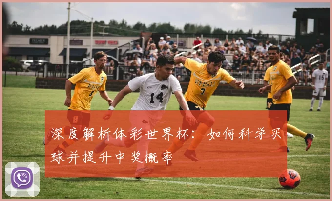 深度解析体彩世界杯:如何科学买球并提升中奖概率