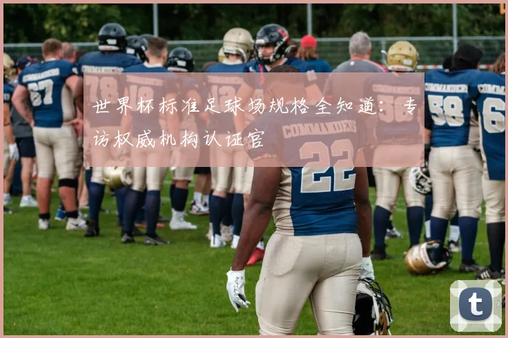 世界杯标准足球场规格全知道：专访权威机构认证官