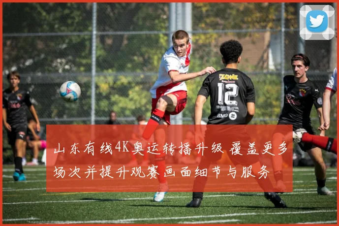 山东有线4K奥运转播升级 覆盖更多场次并提升观赛画面细节与服务